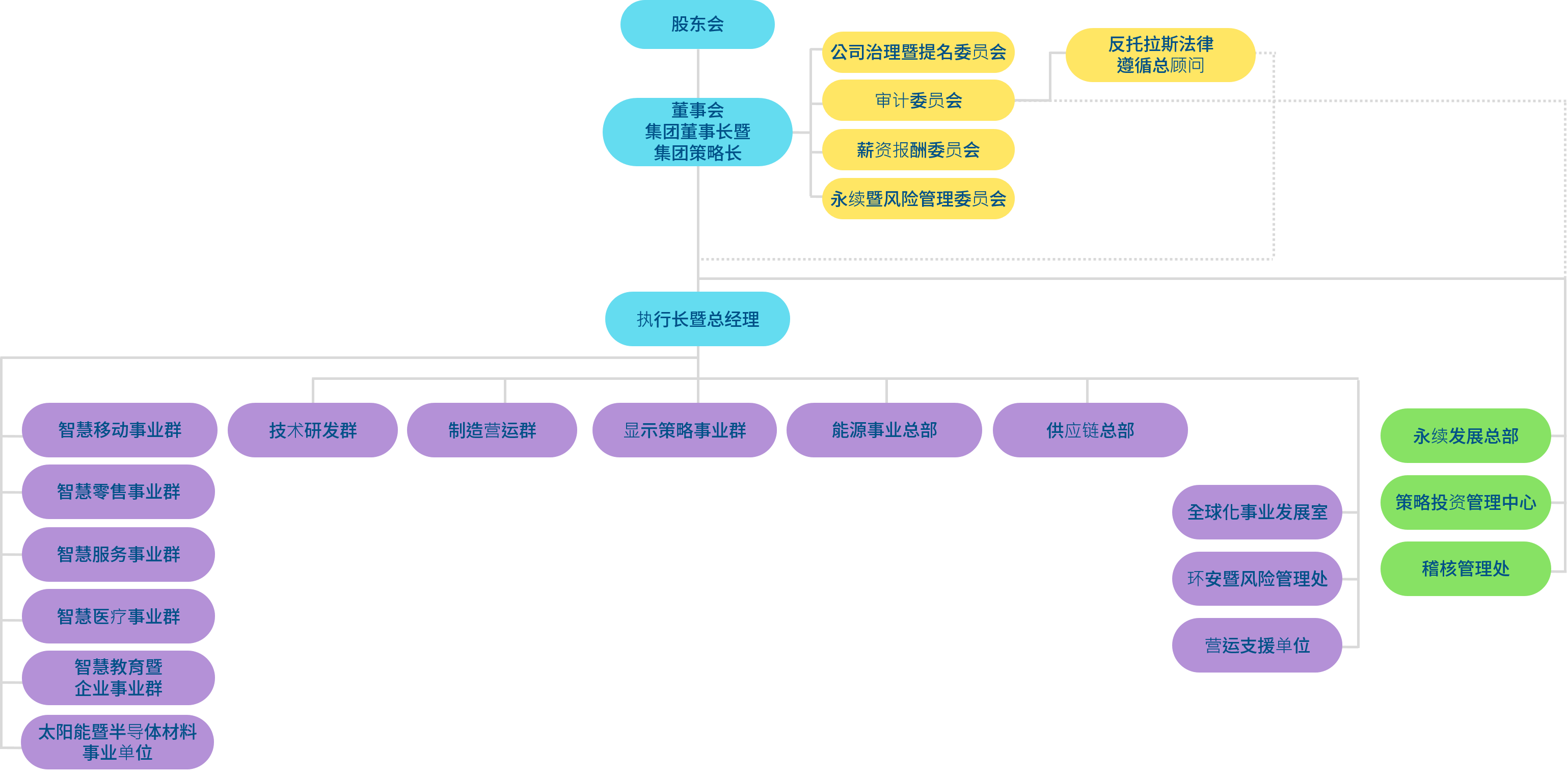 尊龙凯时光电组织架构