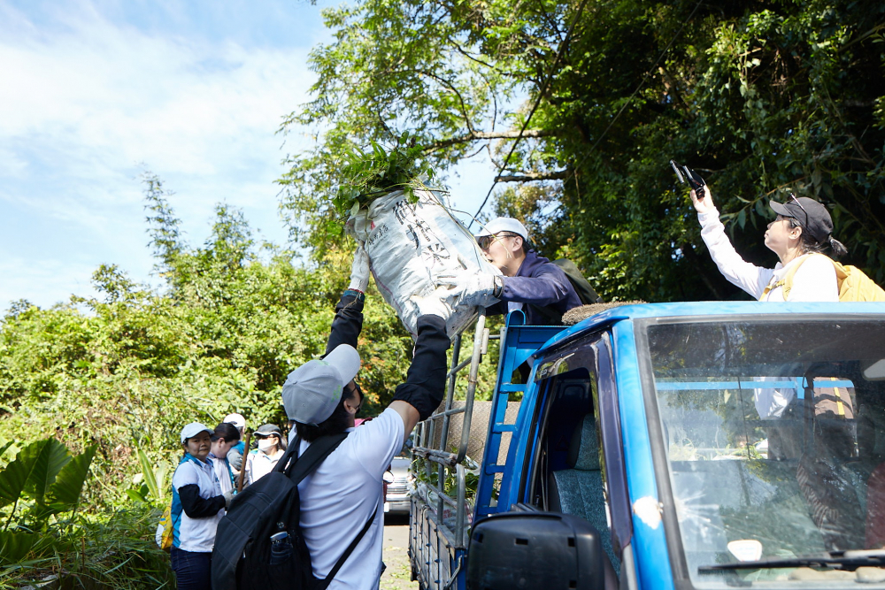 友達串聯志工組成水環境巡守隊，針對霄裡溪沿岸3公里的小花蔓澤蘭，定期進行移除與防治工作